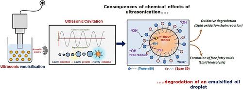 Lipid Degradation in Sunflower Oil in Water Nanoemulsion: Understanding the Kinetics and Role of Ultrasonication