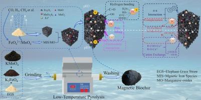 Unveiling synergistic effect of potassium permanganate and potassium ferrate to manufacture magnetic biochar by low-temperature pyrolysis for efficient adsorption of tetracycline and copper