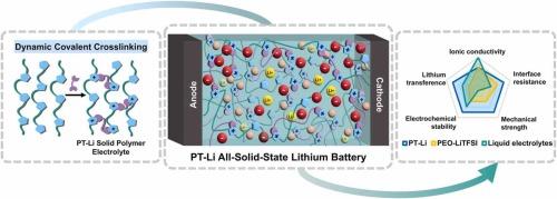 Cationic dynamic elastomer electrolyte enabling all-solid-state lithium batteries