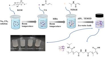 Preparation and properties of konjac glucomannan/P(N-isopropylacrylamide-crotonic acid) hydrogel