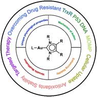 Au NHC complexes as anticancer agents: milestones, strategies and future developments