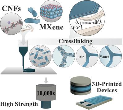 3D‐Printed Crosslinked Nanocellulose‐MXene Hydrogels and Aerogels with High Strength and Conductivity