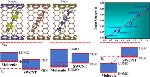 Theoretical Approaches toward Designing Organic Molecule Infilling for n- and p-Type Single-Walled Carbon Nanotubes
