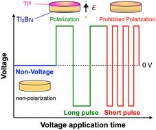 Voltage-dependent ionic polarization in TlBr: alternate square-wave bias application for ionic polarization control