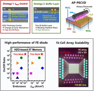 High-Performance and Scalable Ferroelectric Diodes Enabled via 2D-MoS2 Buffer Layer Under Low Thermal Budget