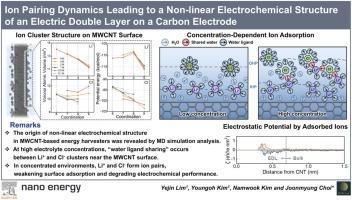 Ion pairing dynamics leading to a non-linear electrochemical structure of an electric double layer on a carbon electrode