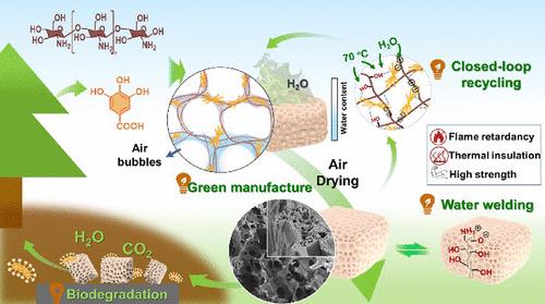 Air-Dried Supramolecular Thermoresponsive-Assembled Biomass Aerogel: Superior Thermal Insulation, Flame Retardance, and Full Life-Cycle Sustainability
