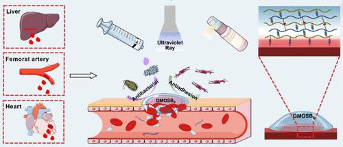 In Situ Dual-Cross-Linked Porous Hydrogels with Strong Adhesion and Mechanical Strength for Emergency Hemostasis in Cardiac and Femoral Artery Rupture