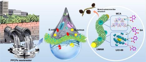 A novel flexible branch-pinecone nanostructured UiO-66-MCA composite nanofiber membrane with bacteriostatic property for effective removal of salicylic acid