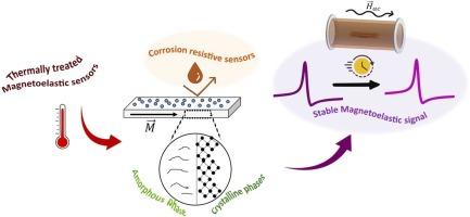 Crystallization effect in the self-bias response of several Fe-rich magnetoelastic alloys