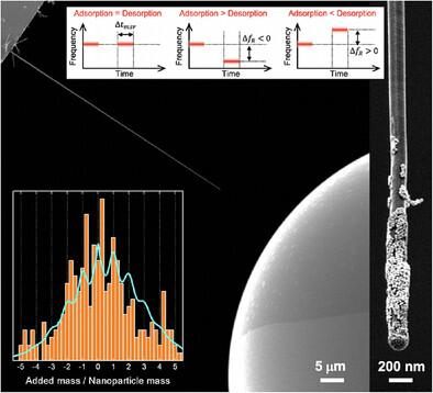 Dip‐in Nanomechanical Probes for Mass Characterization of Nanoparticles in Ultra‐Low Volume Liquid Suspensions