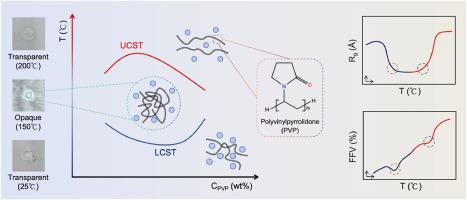 Polyvinylpyrrolidone/Ionic Liquid Mixture with Loop-type Phase Behavior: Experiments and Molecular Dynamics Simulations