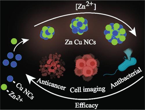 Zinc Complexation Driven Small Spherical Copper Nanocluster Assemblies with Size-Dependent High Antibacterial and Anticancer Activities