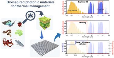 Bioinspired photonic materials for advanced thermal management