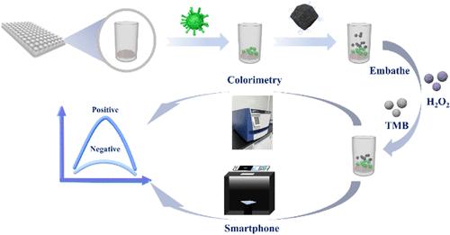 Colorimetric Aptasensor Based on Bimetallic Single-Atom Nanozyme and Self-Selected Aptamers for Ultrasensitive Detection of Quarantine Plant Viruses