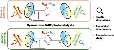 Reactivity of organic photocatalysts displaying thermally activated delayed fluorescence (TADF): rationalizing unexpected differences between rates of quenching of the lowest singlet and triplet states