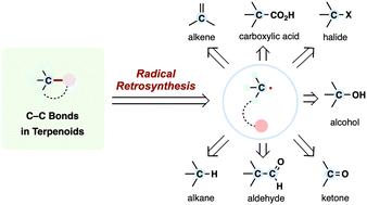 Radical retrosynthesis: a powerful strategy for modern assembly of terpenoid natural products