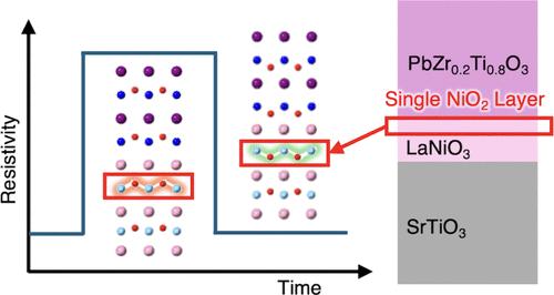 Polarization-Controlled Structural Modulation in the Single Atomic Layer at the PbZr0.2Ti0.8O3/LaNiO3 Interface