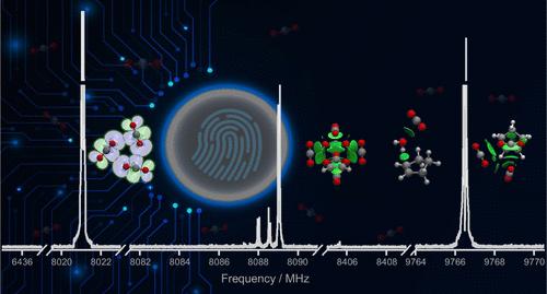 Molecular Insights into CO2 Clustering: Topologies and Driving Forces from Rotational Studies