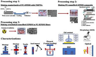 Elevating Polycarbonate Performance: Exploiting In-situ Nanofibrillated and Crosslinked Ethylene Propylene Diene Monomer Networks to Achieve Superior Material Properties