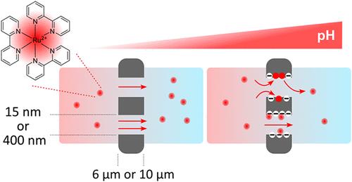 Modulating Electrostatic Interactions to Control the Analyte Transport in Nanochannels