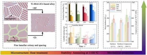 Mechanistic insights into alloying-induced microstructural evolution and stability of TiAl alloys