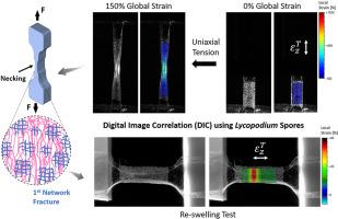 Characterization of the Deformation and Fracture of Tough Double-Network Hydrogels