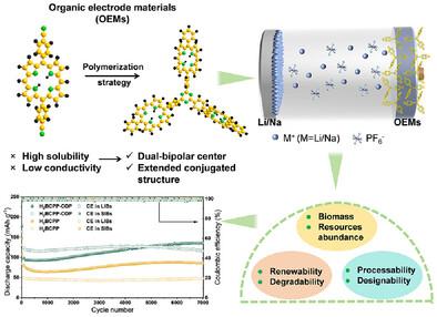 Dual‐Bipolar Conjugated Organic Polymer Cathode Enabling Ultra‐Stable 10 000‐Cycle Organic Lithium and Sodium Batteries