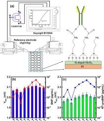 Rapid and label-free detection of BNP and NT-proBNP in human serum using Ti-doped MoTex film-based extended-gate FET biosensors for heart failure diagnosis