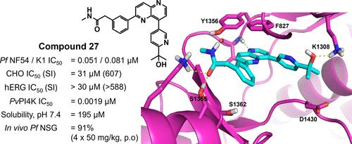 Optimization of 2,8-Diaryl-1,5-naphthyridines as Plasmodium falciparum Phosphatidylinositol 4-Kinase Inhibitors with Improved ADME Profiles and In Vivo Efficacy