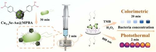 Colorimetric and photothermal dual-mode vertical flow assay for sensitive detection of Escherichia coli O157:H7 based on 4-mercaptophenylboronic acid-functionalized Cu2-xSe-Au nanozyme