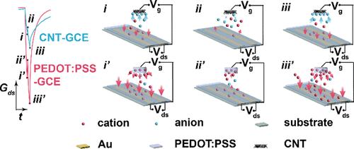 Gate Capacitance-Dependent Neuromorphic Functions of Organic Electrochemical Transistors