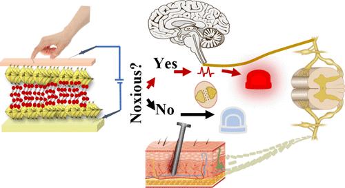 Investigations on Resistive Switching Mechanisms of Fluorinated Ruddlesden–Popper Perovskite-Based Memristors for Nociceptor Application