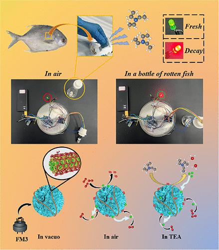 Flower-like FeWO4/f-MWCNTs Sphere for Triethylamine Gas Sensors Operating at Room Temperature: Sensing Performance, Mechanism Study, and Application to Detection of Fish Freshness