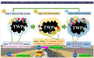 Accelerated Transformation of 6PPD to 6PPD-Q in Tire Wear Particles Driven by Roadway Manganese Oxides and Dry-Wet Cycles: Interfacial Catalysis Coupled with Climatic Stressors