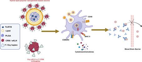 Innate immune mechanisms underlying the efficacy of a next-generation nanoparticle-based vaccine against opioid use disorders