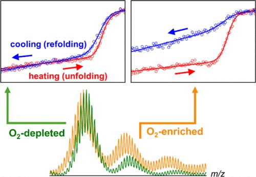 Heat-Induced Protein Oxidation as an Impediment for Thermal Stability Measurements: A Case Study on Cytochrome c