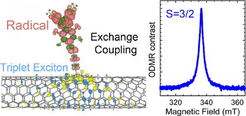 Tuning Intersystem Crossing to Triplet Excitons in sp3-Functionalized (6,5) Carbon Nanotubes through Defect Density and Functional Groups