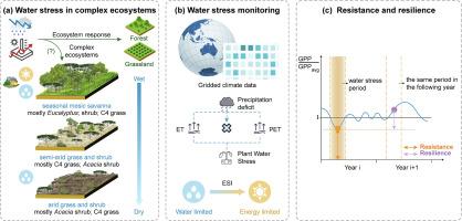 Satellite observations reveal ecosystem resistance and resilience to short-term water stress driven by dominant vegetation along a rainfall gradient in Australia