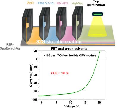 Flexible ITO‐Free Organic Solar Modules Using Fully Roll‐to‐Roll Processable Top Illumination Design