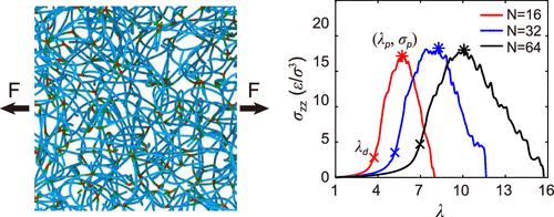Inherent Tensile Strength and Stretchability of Unentangled Elastomers