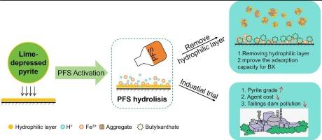 Innovative application of polyferric sulfate in deep depress pyrite activation: Activation mechanisms and sustainability benefits