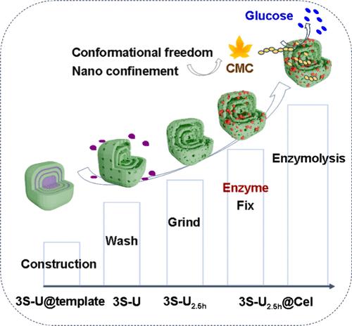 Fabrication of Hierarchically Mesoporous Multishelled Metal–Organic Frameworks via Template-Induced Assembly/Grinding Strategy for Immobilization of Enzyme and Enhancing Catalytic Performance