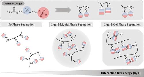 Rational Design of Zwitterionic Polymers with Tunable Phase Separation Propensity