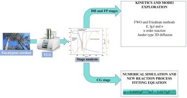 Kinetics analysis and numerical simulation of eucalyptus sawdust pyrolysis