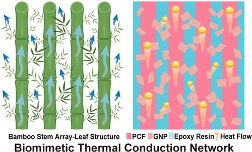 A Biomimetic Thermal Conduction Network Enables Metal-Level Thermal Conductivity in Polymer Nanocomposites