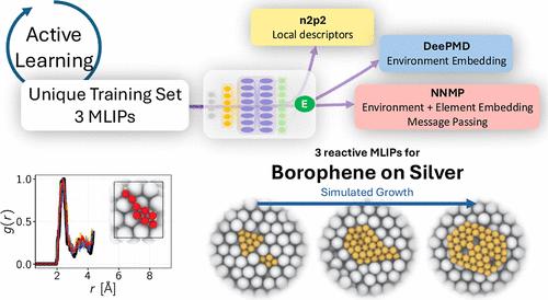 A Portable Data Set for Borophene Growth Modeling with Reactive Neural Network Potentials