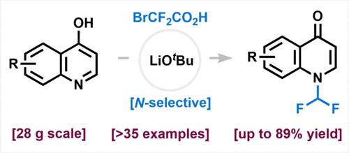 N-Selective Difluoromethylation of 4-Hydroxyquinolines