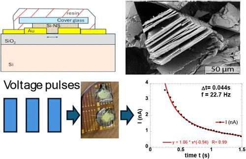 Thin-Film Silicon Nanosheet-Based Neuromorphic Assemblies