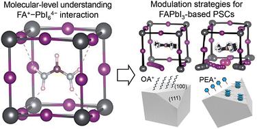 Molecular-level understandings and device strategies for FAPbI3-based perovskite solar cells